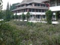 Tn P1030454